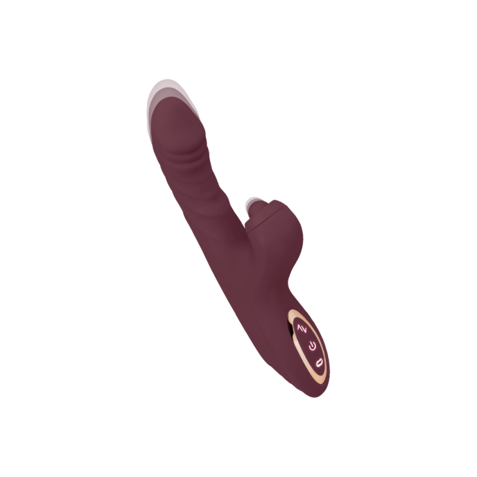 rabbit-vibrator-hot-vibes-24-3-cm-Bordeaux-1