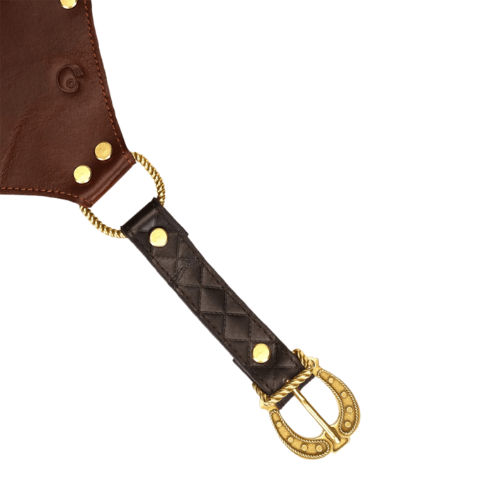 slip-van-rijleer-Bruin-Goud-Zwart-2