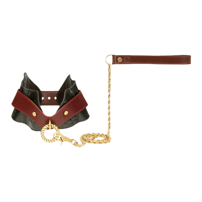 collier-en-cuir-avec-laisse-Brun-Noir-Or-1