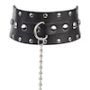 breites-halsband-mit-leine-Schwarz-Silber-2