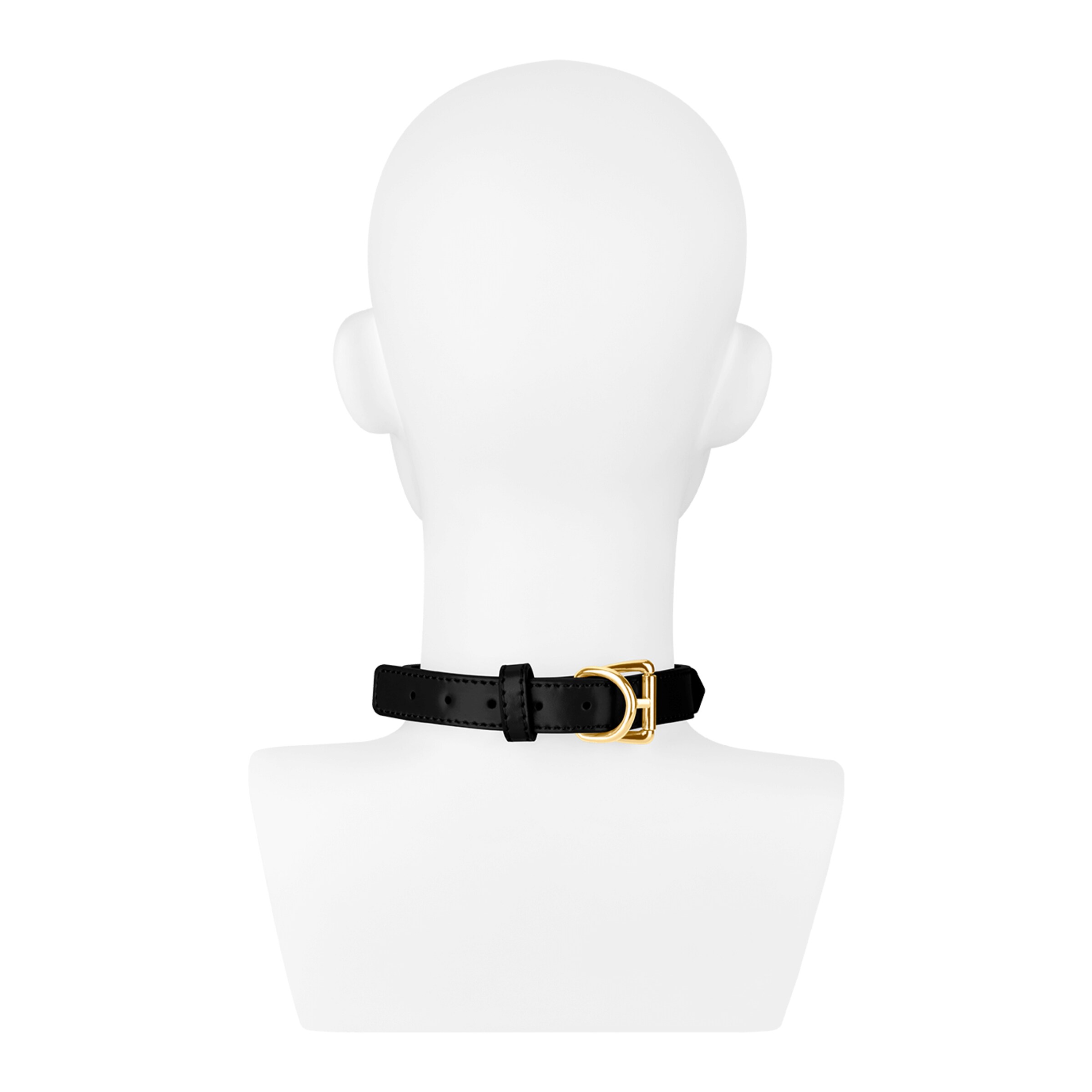 bitch[nbhy]halsband-im-lederlook-Gold-Schwarz-2