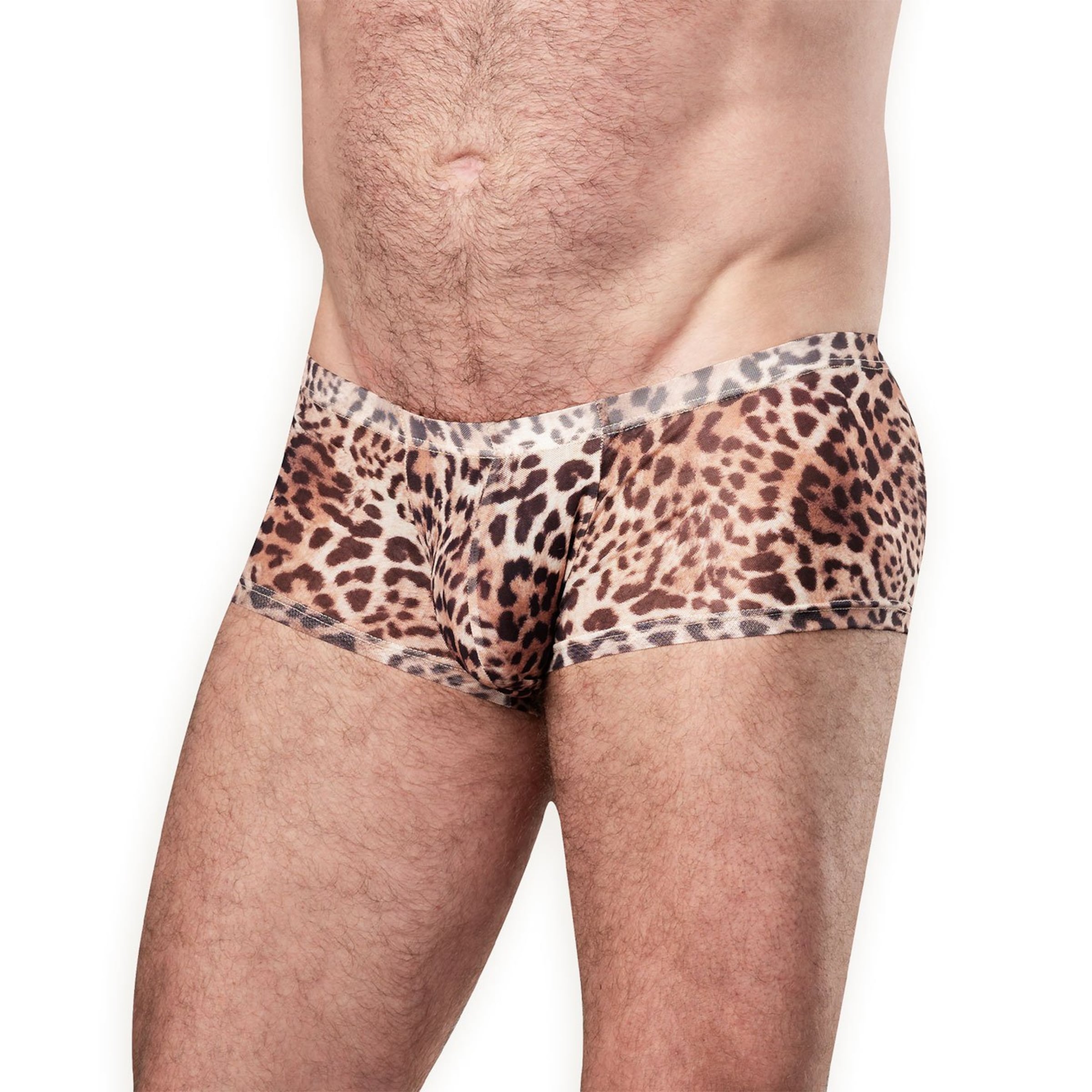 Amorable - Transparent Leopard Shorts