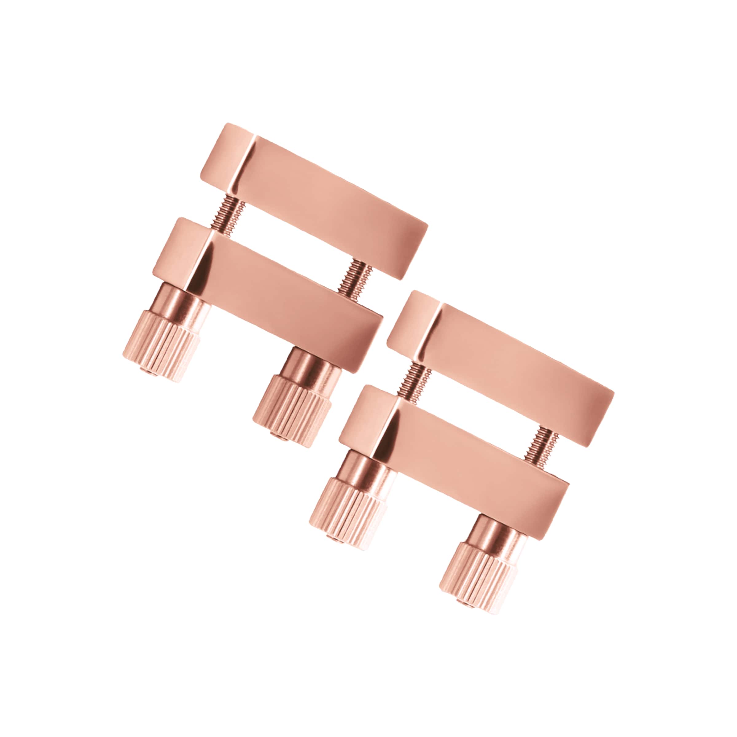 Bound - Nipple Clamps V1